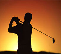 The Association
