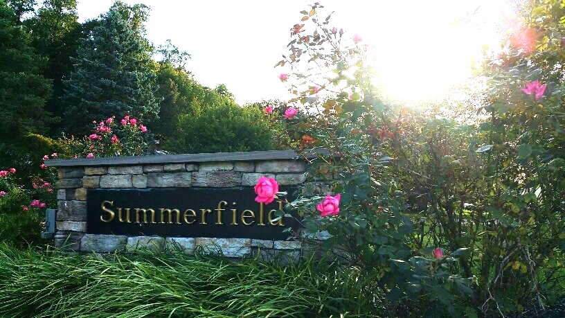 Summerfield